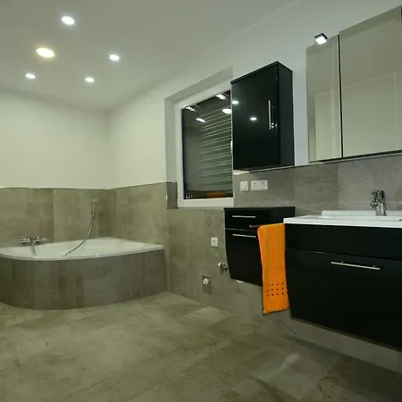 Apartment Ferienwohnung Widmann Scheffau am Wilden Kaiser